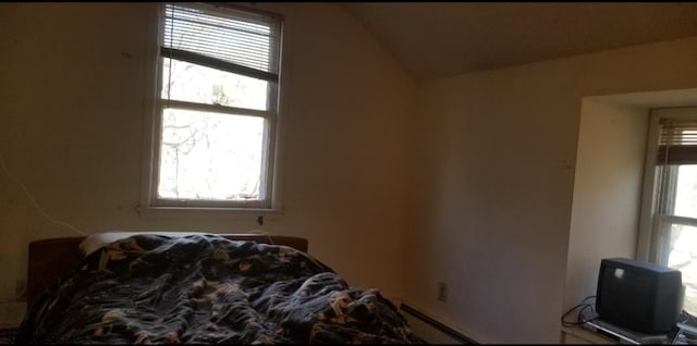 bedroom featuring lofted ceiling and multiple windows