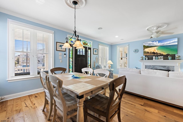 dining space with ornamental molding, light wood-type flooring, and ceiling fan