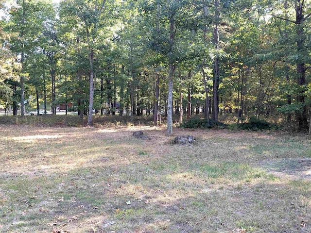 2406 Oslo Ave, Mays Landing, NJ 08330 - view of yard