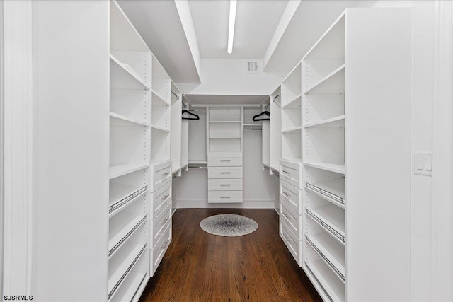 107 S Austin Ave, Ventnor, NJ 08406 - walk in closet featuring dark wood-style flooring