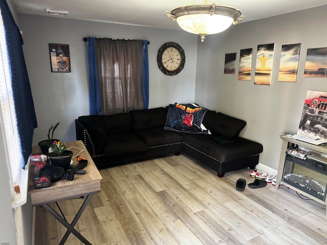 living room with wood-type flooring