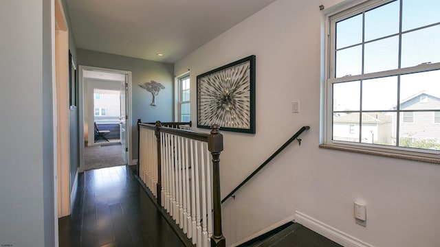 stairs featuring hardwood / wood-style floors and a healthy amount of sunlight