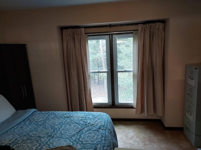 carpeted bedroom with multiple windows