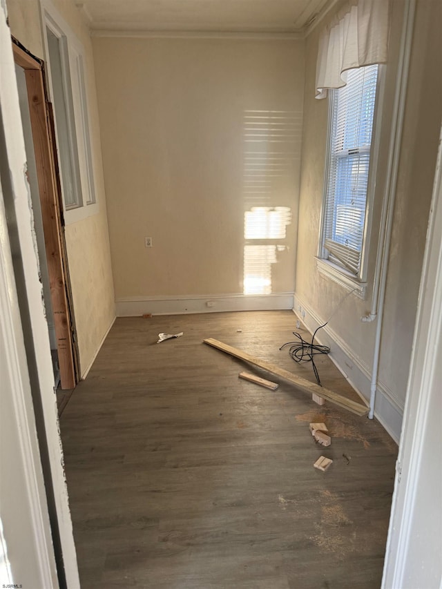 unfurnished room with ornamental molding, a wealth of natural light, and dark hardwood / wood-style floors