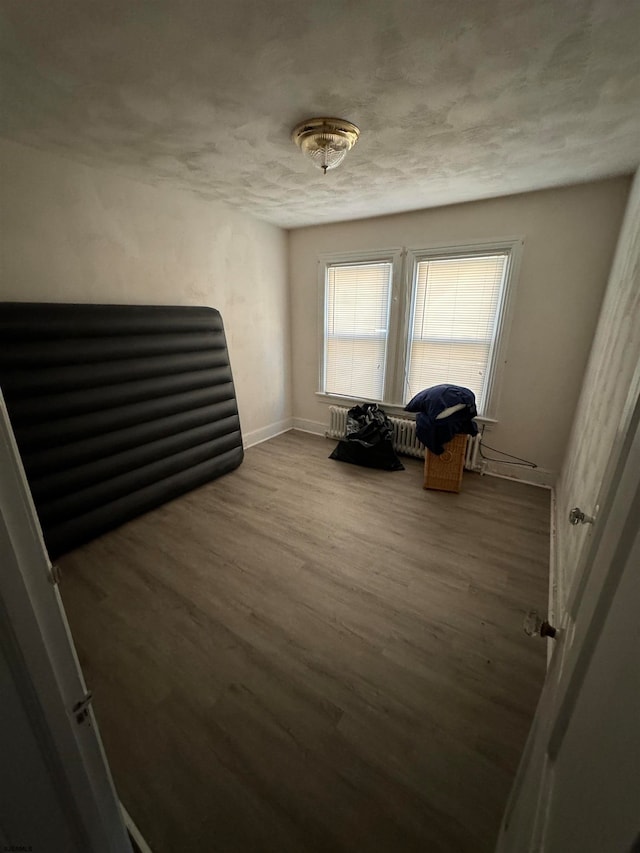 interior space featuring wood-type flooring