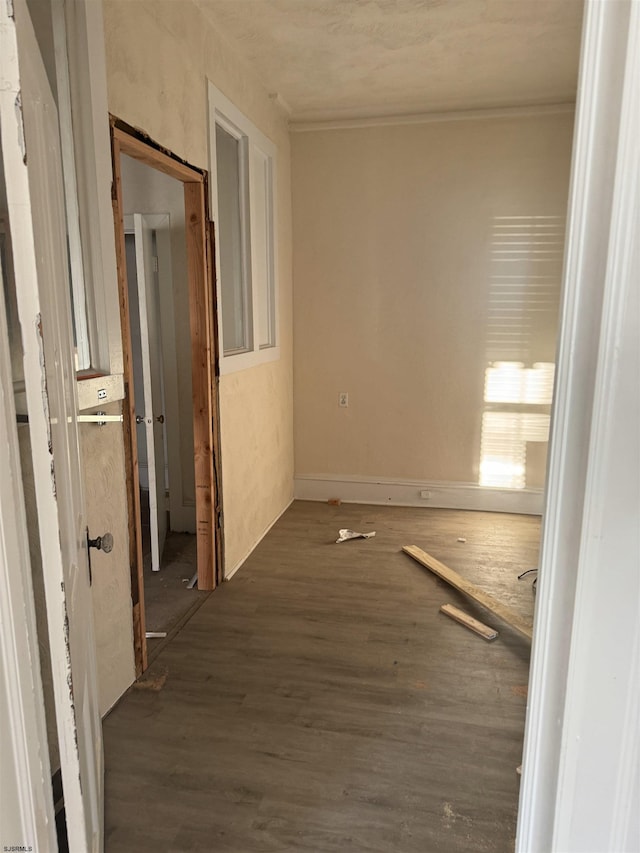 corridor with dark wood-type flooring