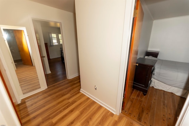 hall featuring wood-type flooring