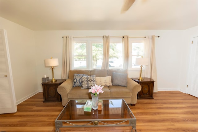 living room featuring wood-type flooring