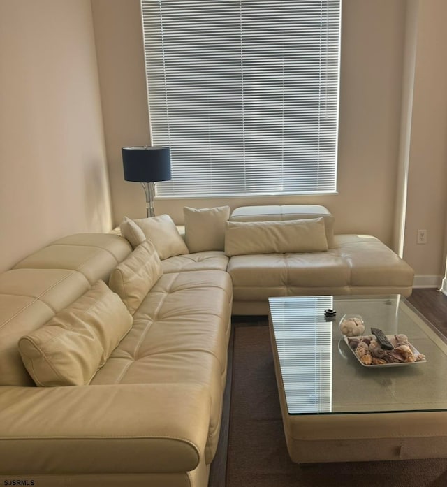 living room with dark hardwood / wood-style flooring