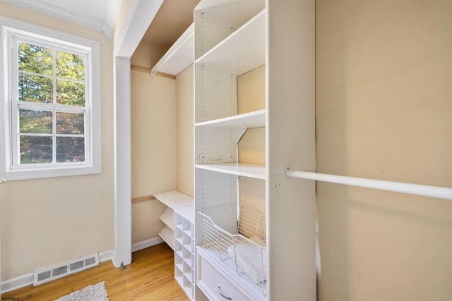 spacious closet with hardwood / wood-style flooring