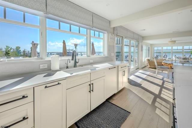 interior space with white cabinetry, plenty of natural light, and sink