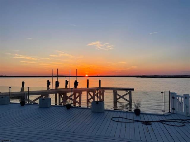 dock area with a water view