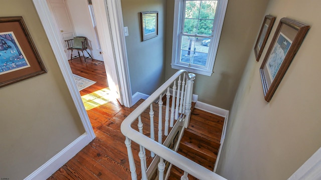 staircase featuring hardwood / wood-style floors