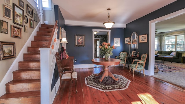 entryway with dark hardwood / wood-style flooring