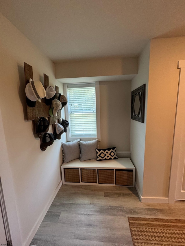 mudroom with light wood-type flooring