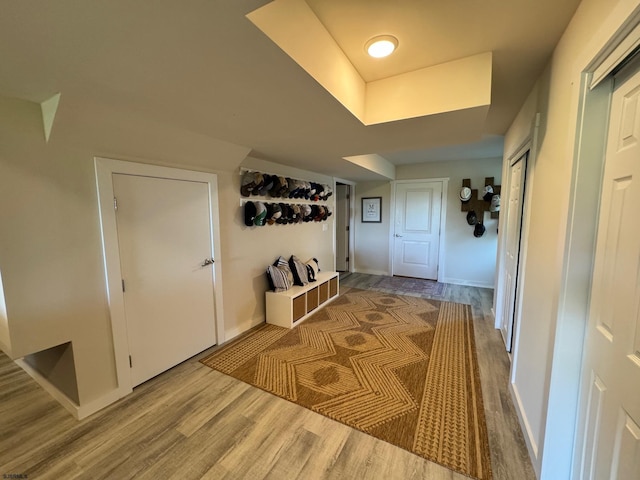 hall featuring wood-type flooring