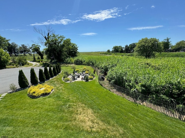 view of yard with a rural view