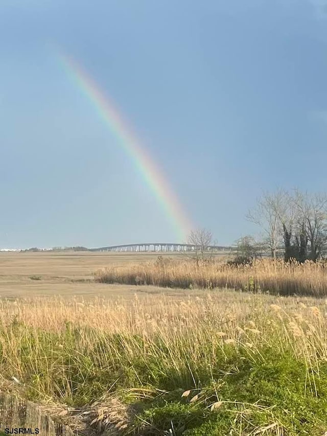 view of local wilderness with a rural view