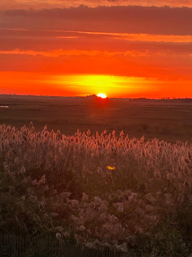 view of nature at dusk