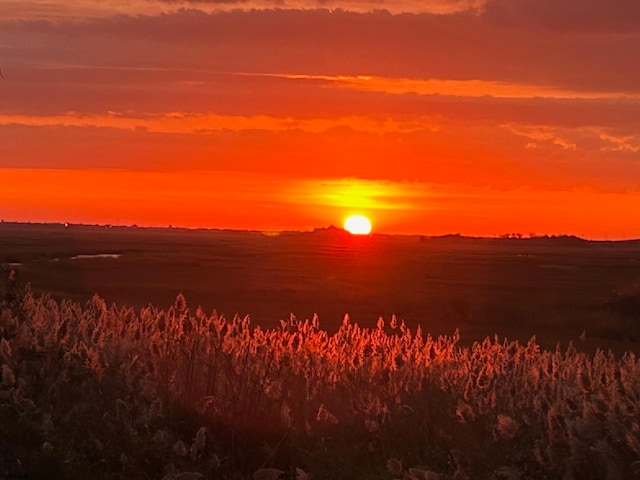 view of nature at dusk