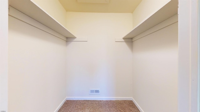 spacious closet with carpet floors