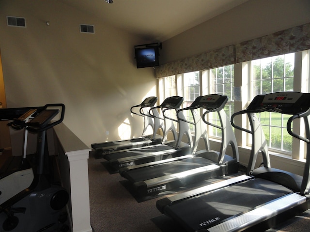 gym with carpet, lofted ceiling, and plenty of natural light