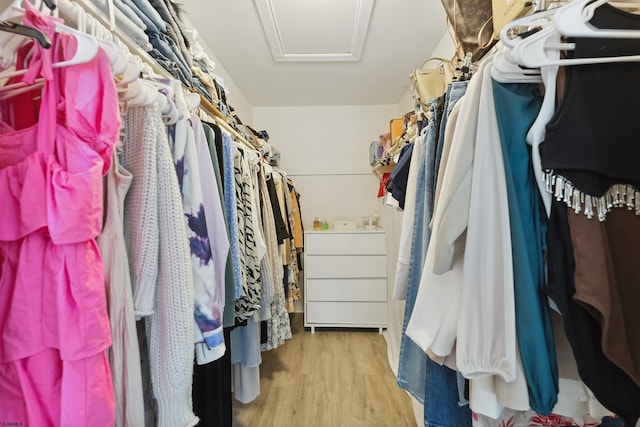 walk in closet featuring light wood-type flooring