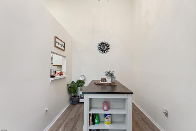 interior space featuring hardwood / wood-style floors