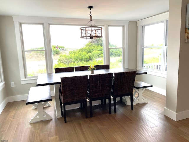 dining space with a healthy amount of sunlight and wood-type flooring