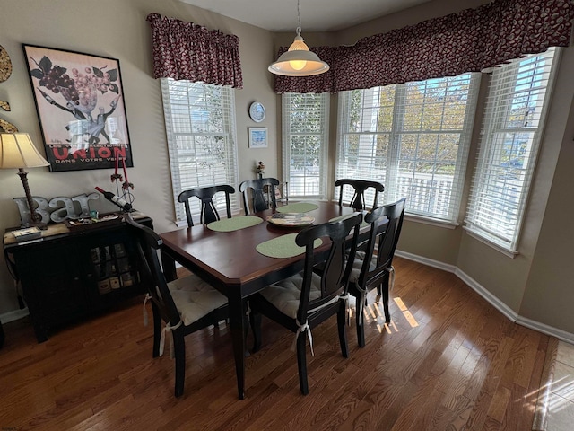 dining area with wood-type flooring and a wealth of natural light