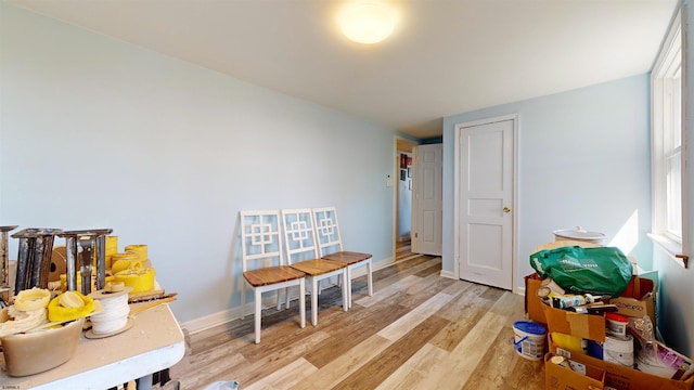 playroom featuring light wood-type flooring