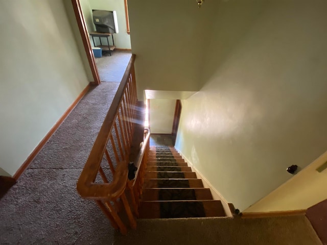 stairway featuring carpet