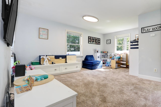 interior space featuring a healthy amount of sunlight and light colored carpet