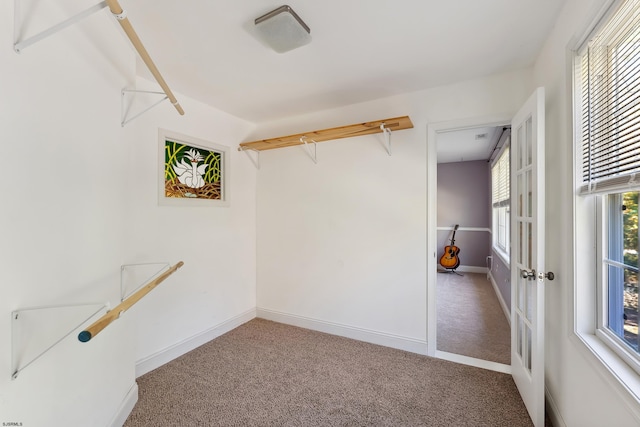 walk in closet featuring carpet flooring