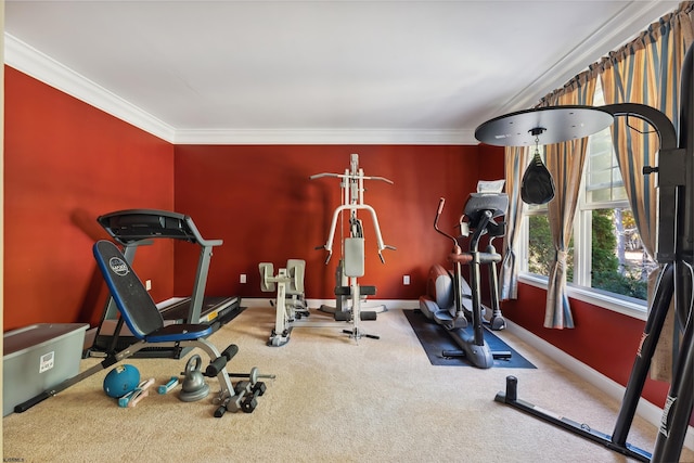 exercise room with carpet flooring and ornamental molding