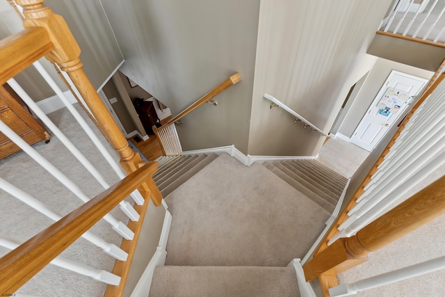 staircase with carpet flooring