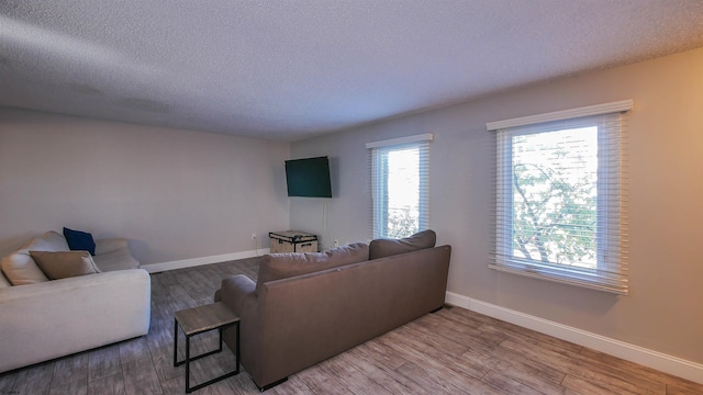 living room with hardwood / wood-style flooring and a textured ceiling