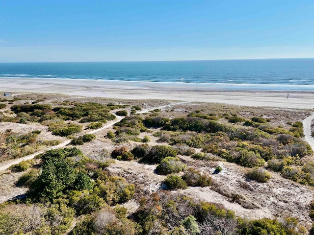 view of water feature featuring a beach view