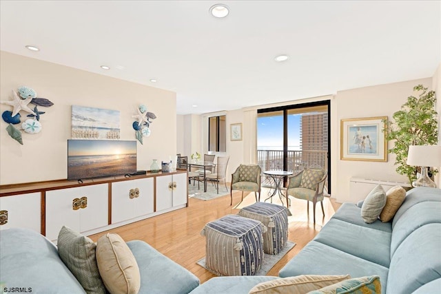 living room featuring light hardwood / wood-style floors