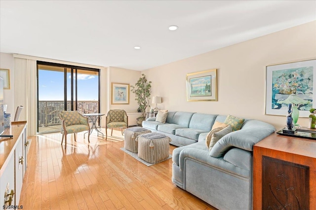 living room featuring light hardwood / wood-style floors and expansive windows