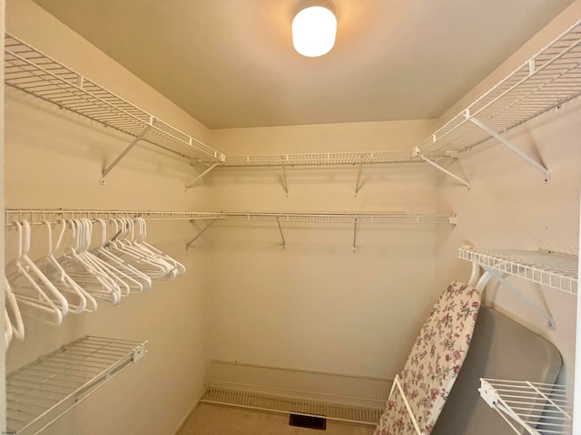 view of spacious closet