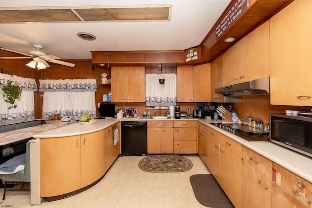 kitchen with kitchen peninsula, stainless steel appliances, sink, and ceiling fan