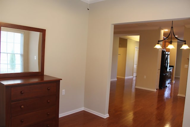 16 Primrose Cir, Egg Harbor, NJ 08234 - corridor with dark wood finished floors, crown molding, and baseboards