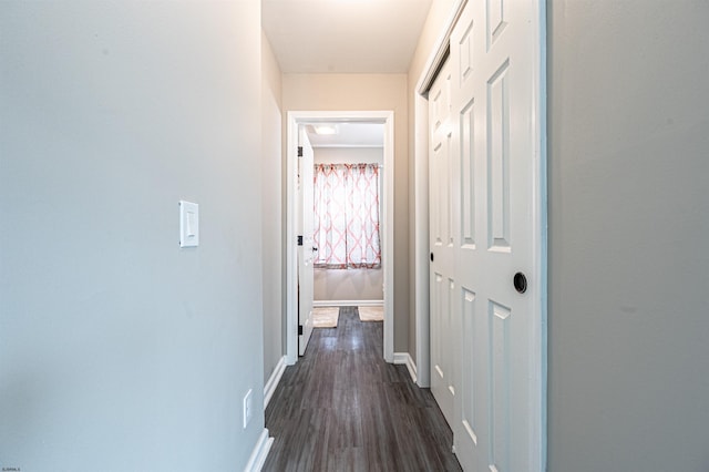 corridor featuring dark wood-type flooring