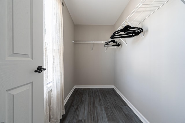 spacious closet featuring dark wood-type flooring