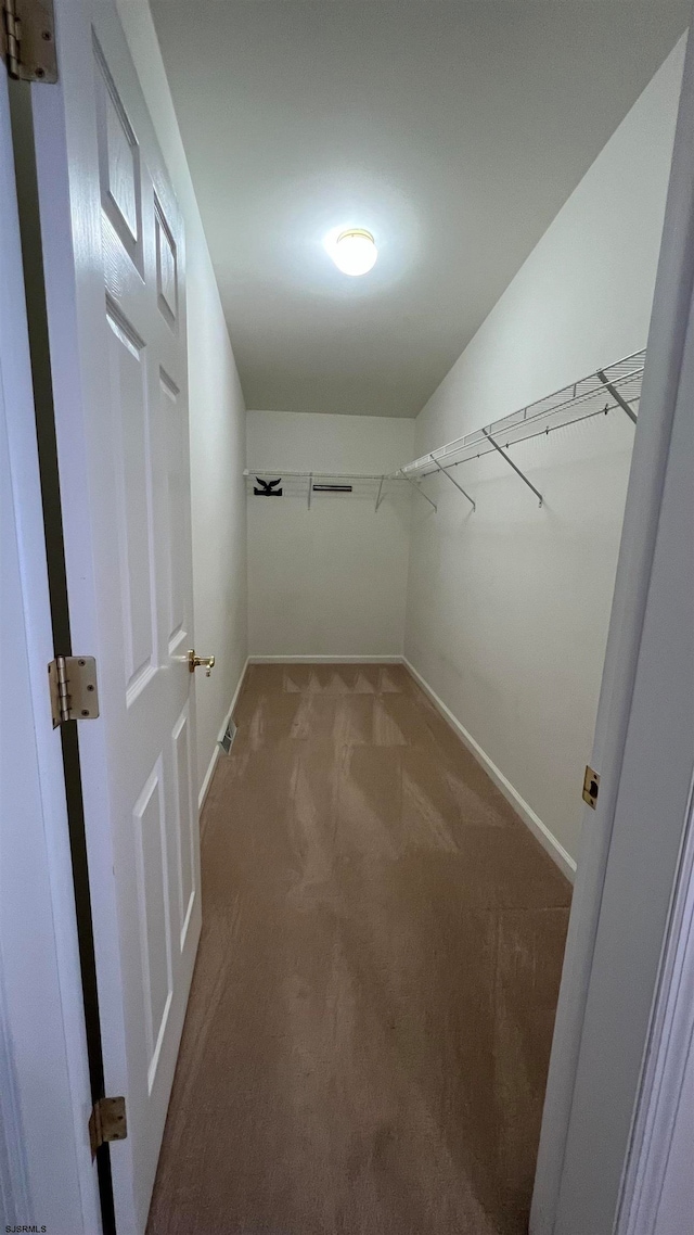 spacious closet with carpet