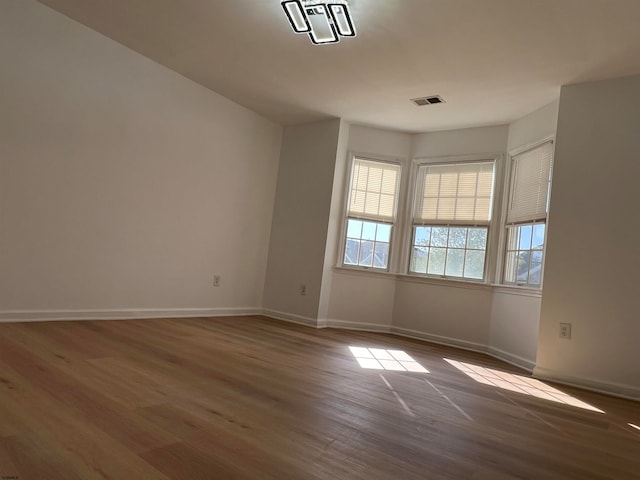 spare room featuring wood-type flooring