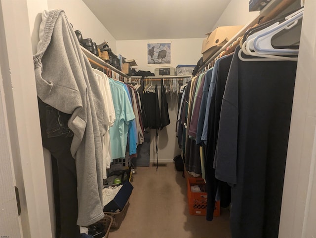 walk in closet with carpet floors