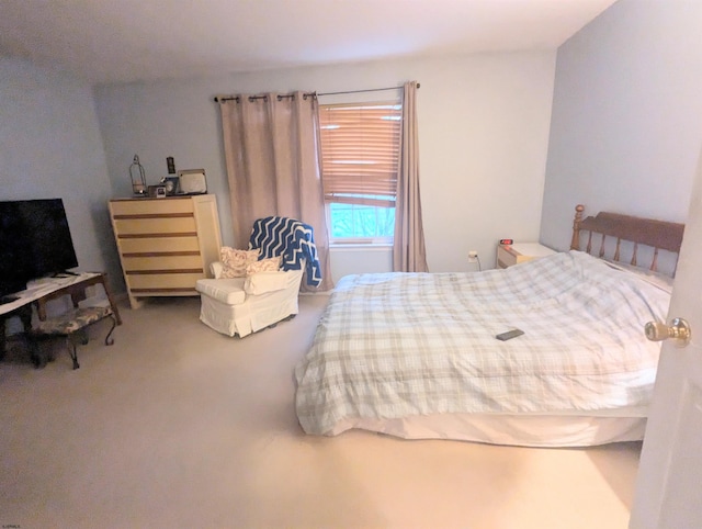 bedroom with carpet flooring