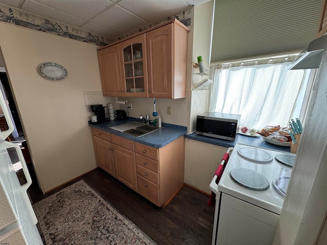 kitchen with dark hardwood / wood-style flooring, decorative backsplash, sink, white range, and light brown cabinetry